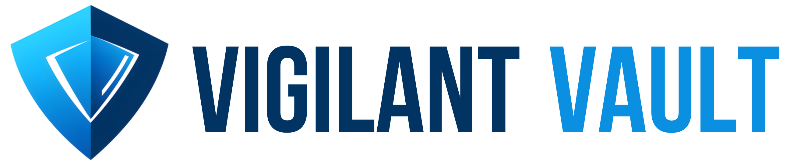 Vigilant Vault 